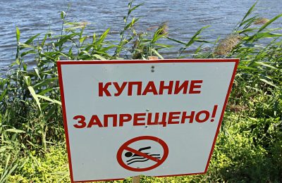 Купаться в реке Омь опасно для здоровья