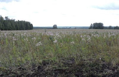 Какие могут быть ограничения прав на земельные участки, рассказали жителям Усть-Таркского района