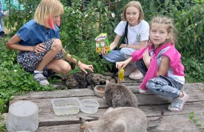 Юные волонтеры Усть-Таркского района пришли на помощь бездомным животным