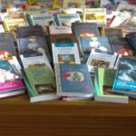 Еще шесть модельных библиотек появятся в Новосибирской области до конца года