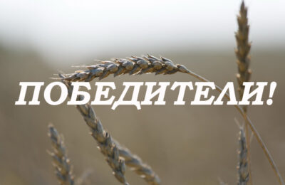 Аграрии Усть-Таркского района в числе победителей областного трудового соревнования
