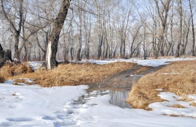 Потепление до +14 градусов придет в Усть-Тарку в первой декаде апреля
