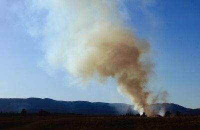Высокая пожароопасность объявлена в Новосибирской области 16-18 апреля