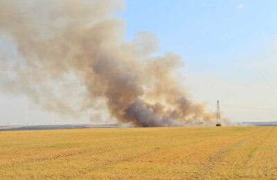 Дату начала пожароопасного сезона весной-2022 назвали в Новосибирске
