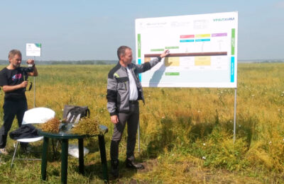 Агросервисы и цифровые продукты для АПК обсудили участники Дня поля Усть-Таркского района