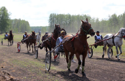 Жокей из Усть-Таркского района стал победителем конных скачек в Татарске