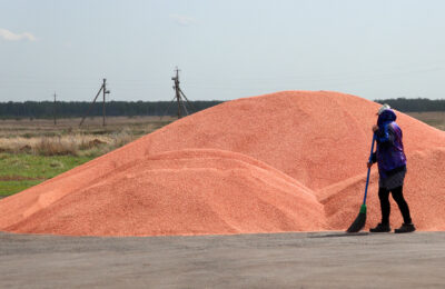Более 3,4 миллиона тонн зерна собрали аграрии Новосибирской области