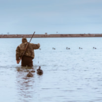 Около 23 тысяч электронных разрешений на добычу водоплавающей дичи выдали в регионе с начала экспериментального режима