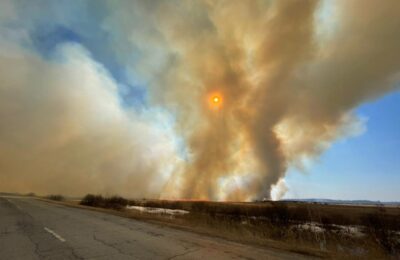 Пожары в Новосибирской области: более 30 очагов зарегистрировали в Усть-Таркском районе