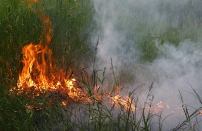 Сибирские ученые нашли виновников лесных пожаров и наводнений
