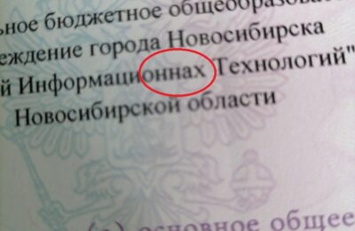 Новосибирские выпускники могут не поступить в вузы из-за опечатки в аттестате