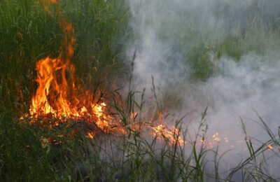Лесные пожары в Усть-Таркском районе охватили более 320 тысяч квадратных метров