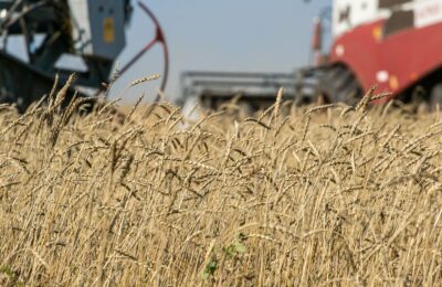 Министерство сельского хозяйства Новосибирской области принимает заявки от аграриев до 1 августа 2023 года