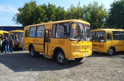 Почти 50 новых школьных автобусов поступит в Новосибирскую область до конца 2023 года