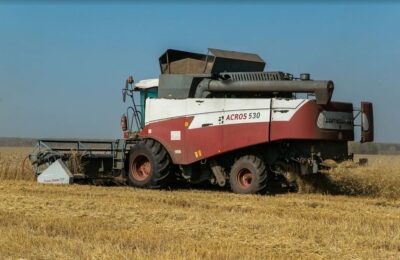 Аграрии Новосибирской области уберут на 25% зерновых больше необходимого