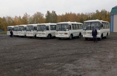 Рекордное число автобусов приобретут для Новосибирской области