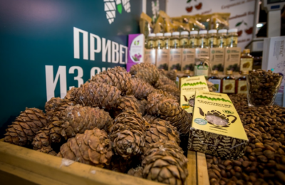 Почти 100% экспортного кедрового ореха из Новосибирска увезли в Китай