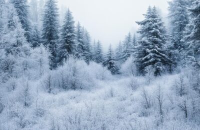 Штормовое предупреждение из-за морозов объявили в Новосибирской области