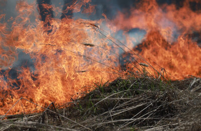 Два лесных пожара зафиксированы в регионе во второй половине апреля