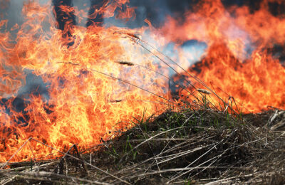 Об административном наказании за розжиг костра в лесу напомнили сотрудники Усть-Таркского лесхоза