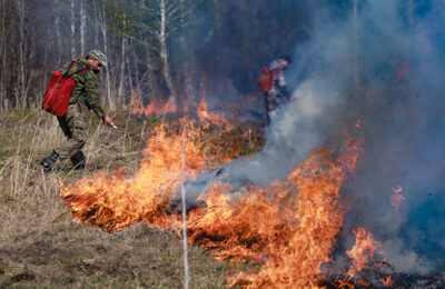 Андрей Травников утвердил план по предупреждению и тушению лесных пожаров