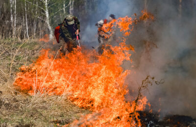 Более 90 процентов пожаров в НСО произошли из-за неосторожного обращения с огнем
