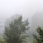 О порывистом ветре до 23 м/с предупредили жителей Новосибирской области