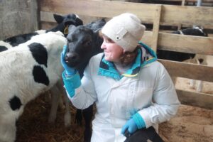 Названы лидеры по продуктивности дойного стада в Усть-Таркском районе