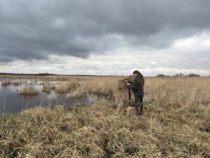 Новосибирские охотники заключили первые онлайн-договоры в приложении «Госключ»