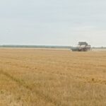 План по заготовке сенажа перевыполнили в Новосибирской области