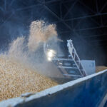 Новосибирская область продолжает наращивать объёмы экспорта сельхозпродукции и перевозки зерна в контейнерах