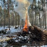 В НСО началась плановая уборка порубочных остатков