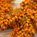 Продукты для усиления иммунной защиты назвали специалисты Роспотребнадзора