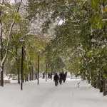 Андрей Травников потребовал улучшить содержание новых парков и скверов в регионе