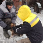 В Усть-Тарке прошла массовая вакцинация домашних животных от бешенства