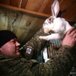 Более 1000 участников СВО трудоустроено в Новосибирской области