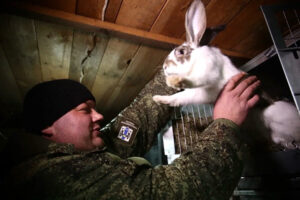 Более 1000 участников СВО трудоустроено в Новосибирской области