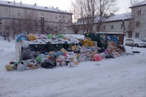 Районы в самым большим количеством новогоднего мусора назвали в Новосибирске