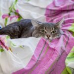 Назван главный способ вернуться в рабочий ритм после праздников