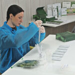 Сверхбыстрые тесты на вирусы разработали новосибирские ученые