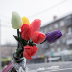 Где 8 Марта круглый год — рассказали почтальоны Новосибирской области