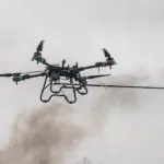 Перемещение скота контролируют с беспилотников в Новосибирской области