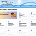 Андрей Травников отметил преимущества регионального раздела НСО на Госуслугах