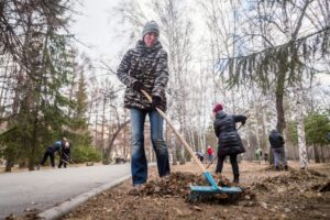 Ранний субботник в Новосибирской области поручил провести Андрей Травников