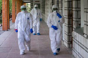 Первые симптомы нового хантавируса назвали новосибирцам
