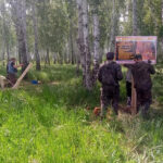 Усть-Таркский лесхоз обустроил три зоны отдыха