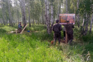 Усть-Таркский лесхоз обустроил три зоны отдыха