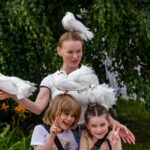 Выплаты и индексация пенсий: новосибирцы узнали о мерах господдержки летом-2026