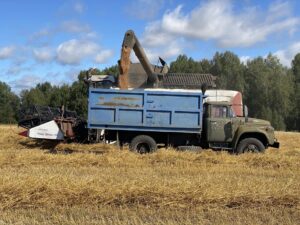 Более 300 тысяч тонн зерновых и зернобобовых собрали аграрии НСО