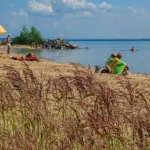 Высокая пожароопасность IV класса на 4 дня объявлена в Новосибирске